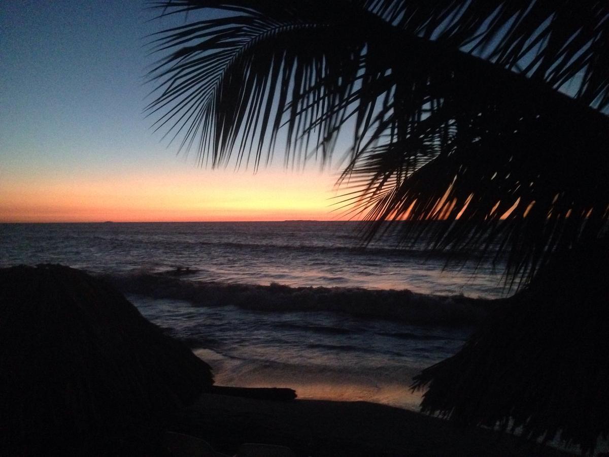 Hotel Casa Sattva- Bed & Breakfast Rincon Bagian luar foto