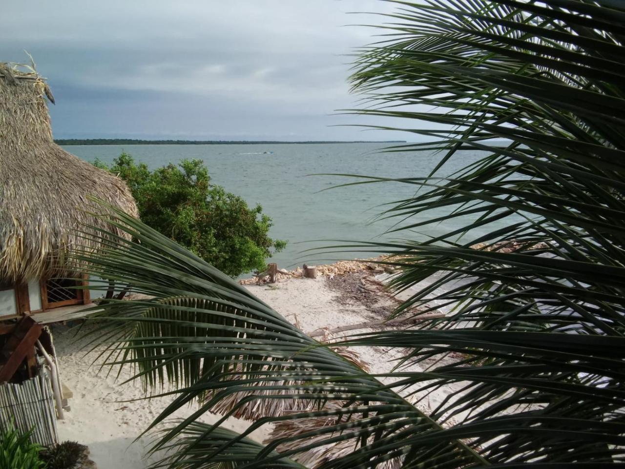 Hotel Casa Sattva- Bed & Breakfast Rincon Bagian luar foto